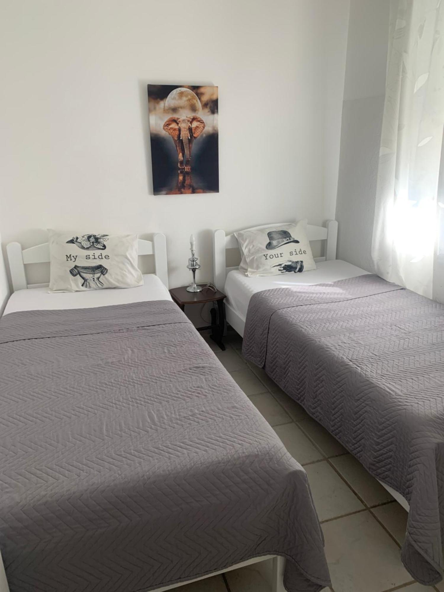 Apartman Ana Zeleni Pojas バール エクステリア 写真